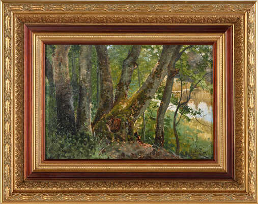 Крыжицкий Константин Яковлевич. Этюд. Лесной пейзаж